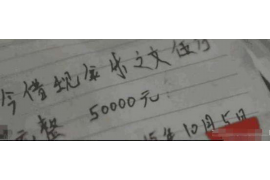 甘谷债务清欠服务